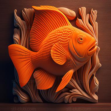 3D model st Orange amphiprion fish (STL)